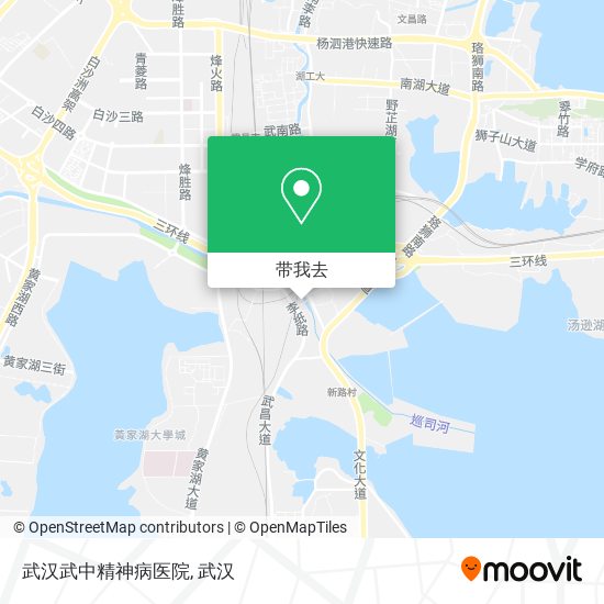 武汉武中精神病医院地图