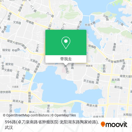 596路(卓刀泉南路省肿瘤医院-龙阳湖东路陶家岭路)地图