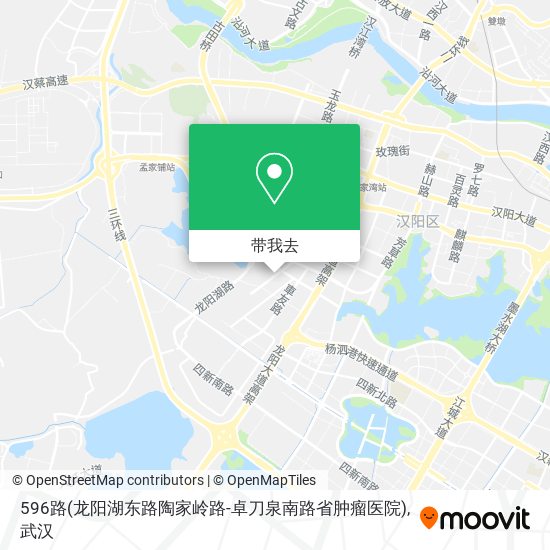 596路(龙阳湖东路陶家岭路-卓刀泉南路省肿瘤医院)地图