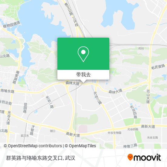 群英路与珞喻东路交叉口地图