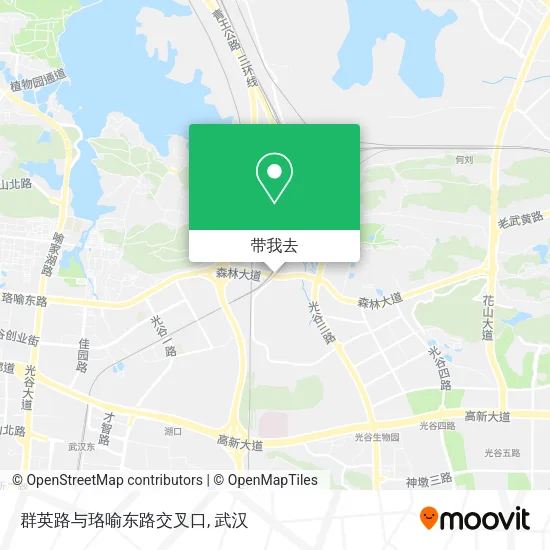 群英路与珞喻东路交叉口地图