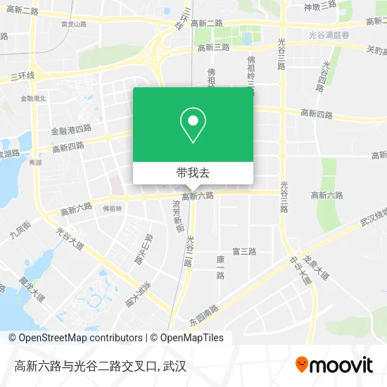 高新六路与光谷二路交叉口地图