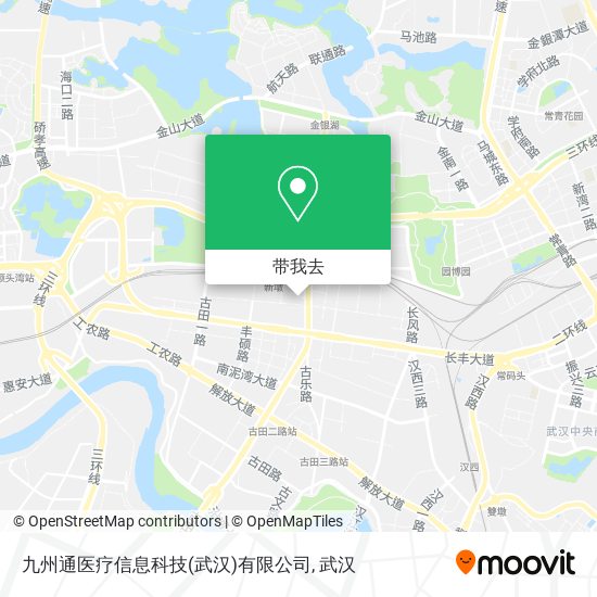 九州通医疗信息科技(武汉)有限公司地图