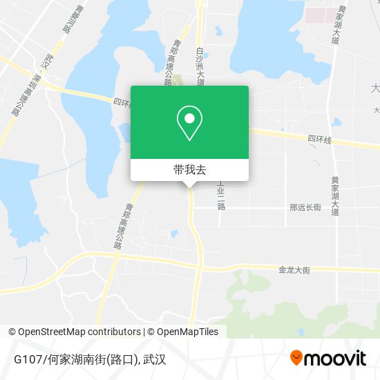 G107/何家湖南街(路口)地图