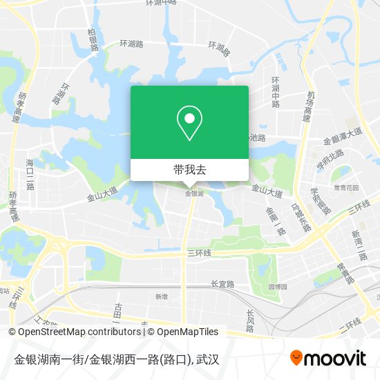 金银湖南一街/金银湖西一路(路口)地图