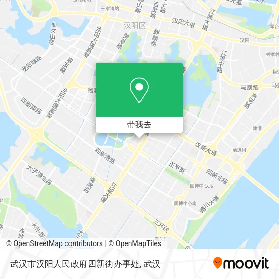 武汉市汉阳人民政府四新街办事处地图