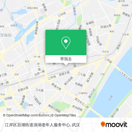 江岸区后湖街道淌湖老年人服务中心地图