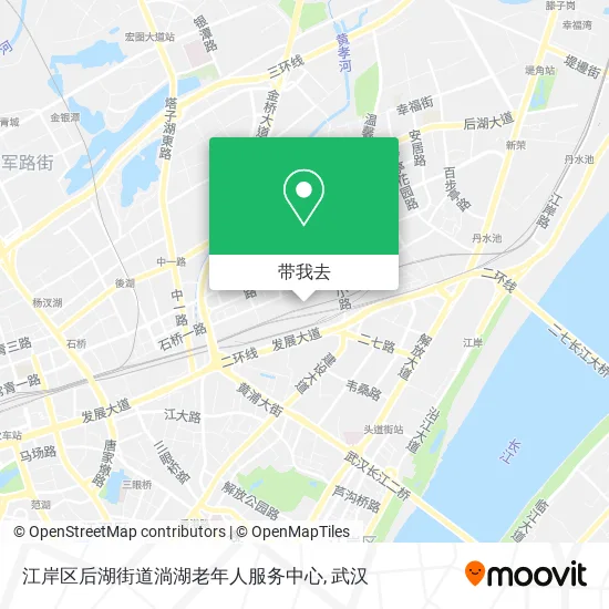 江岸区后湖街道淌湖老年人服务中心地图