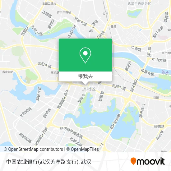 中国农业银行(武汉芳草路支行)地图