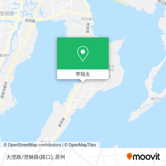 大澄路/澄林路(路口)地图