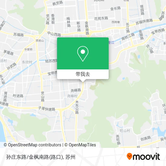 孙庄东路/金枫南路(路口)地图