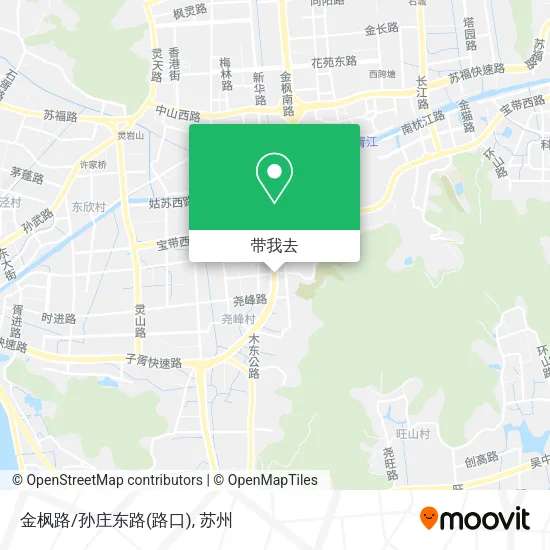 金枫路/孙庄东路(路口)地图