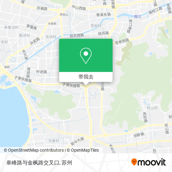 皋峰路与金枫路交叉口地图