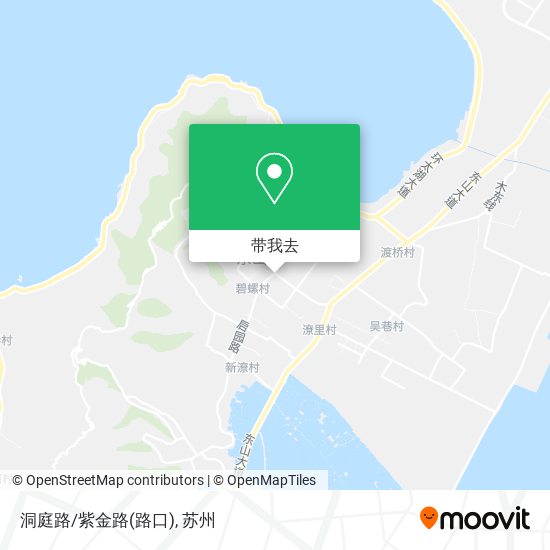 洞庭路/紫金路(路口)地图