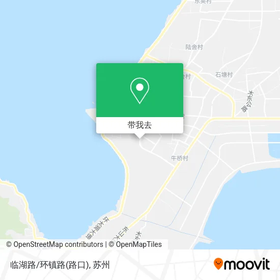 临湖路/环镇路(路口)地图