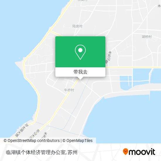 临湖镇个体经济管理办公室地图