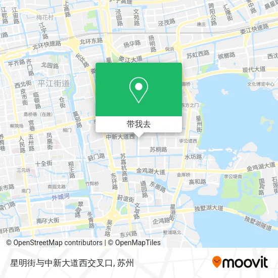 星明街与中新大道西交叉口地图