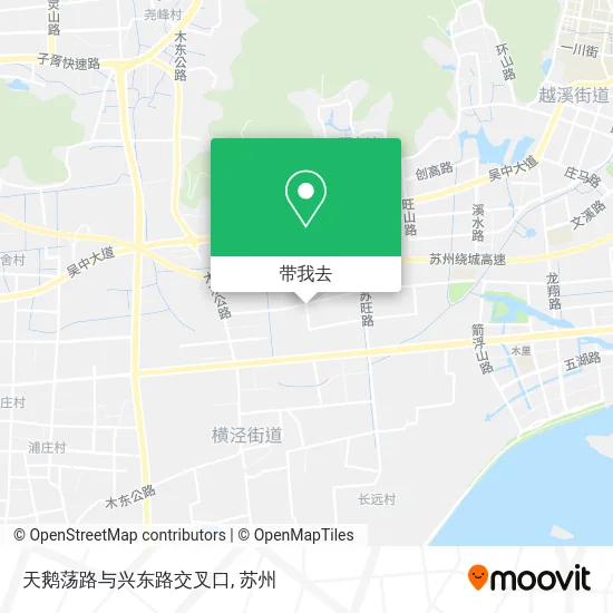 天鹅荡路与兴东路交叉口地图