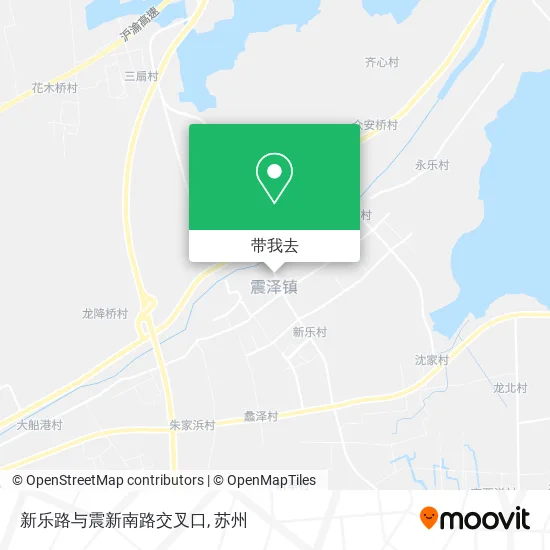 新乐路与震新南路交叉口地图
