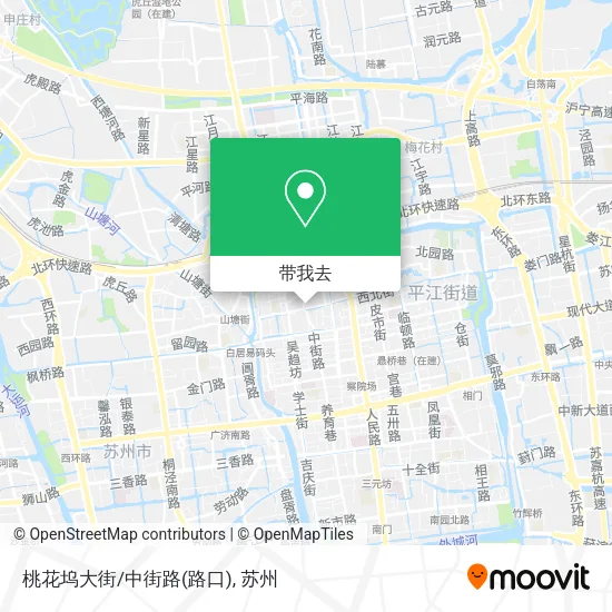 桃花坞大街/中街路(路口)地图