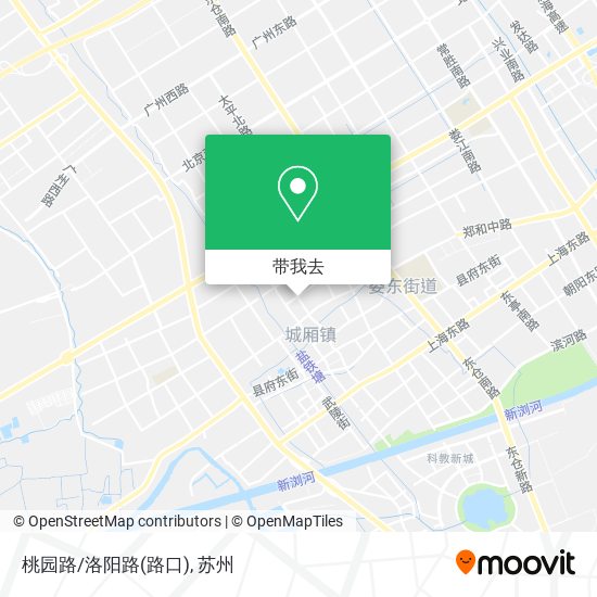 桃园路/洛阳路(路口)地图