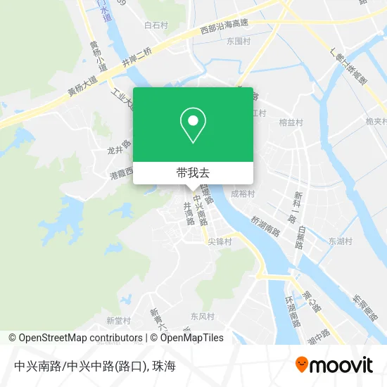 中兴南路/中兴中路(路口)地图