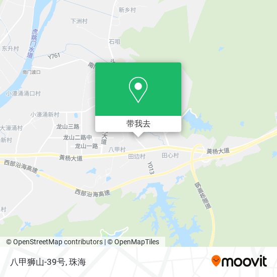 八甲狮山-39号地图