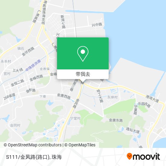 S111/金凤路(路口)地图