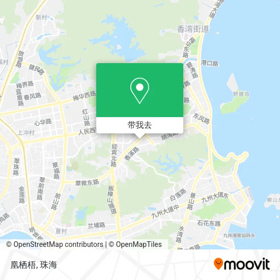凰栖梧地图