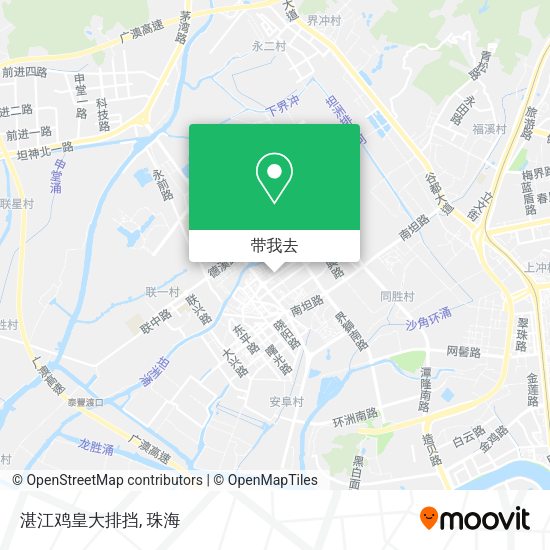 湛江鸡皇大排挡地图