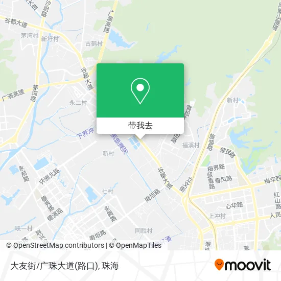 大友街/广珠大道(路口)地图