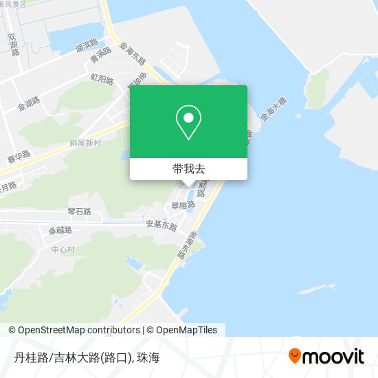 丹桂路/吉林大路(路口)地图