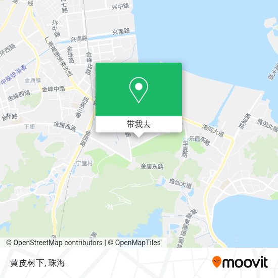 黄皮树下地图