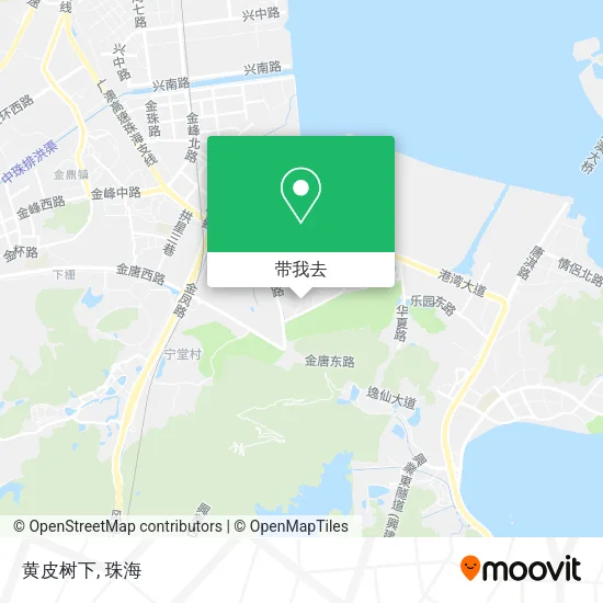 黄皮树下地图