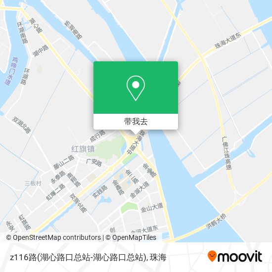 z116路(湖心路口总站-湖心路口总站)地图