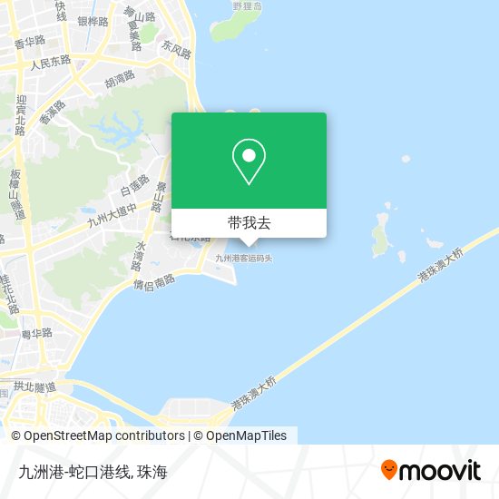 九洲港-蛇口港线地图