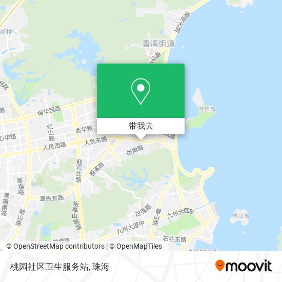 桃园社区卫生服务站地图