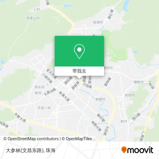 大参林(文昌东路)地图