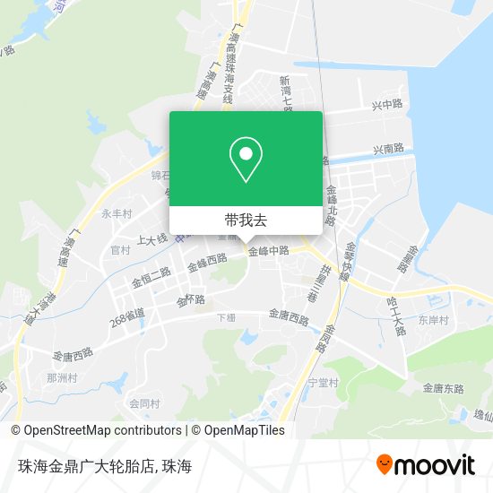 珠海金鼎广大轮胎店地图