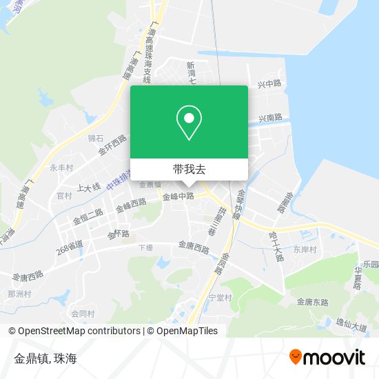 金鼎镇地图