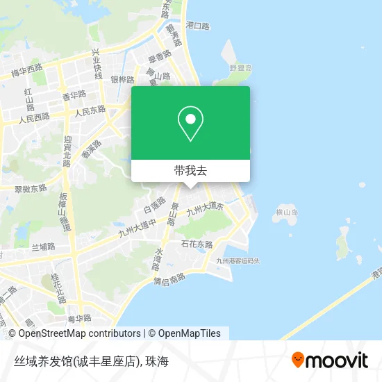 丝域养发馆(诚丰星座店)地图
