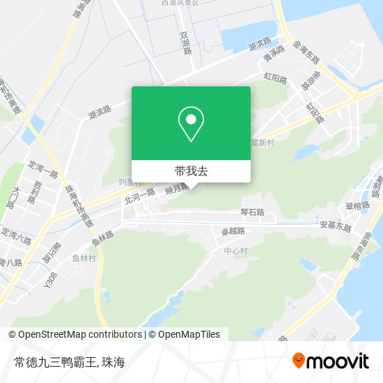 常德九三鸭霸王地图