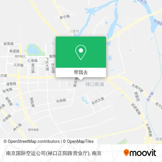南京国际空运公司(禄口正阳路营业厅)地图