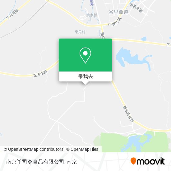 南京丫司令食品有限公司地图