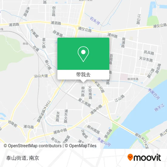 泰山街道地图