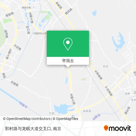 郭村路与龙眠大道交叉口地图