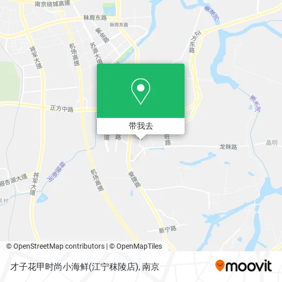 才子花甲时尚小海鲜(江宁秣陵店)地图