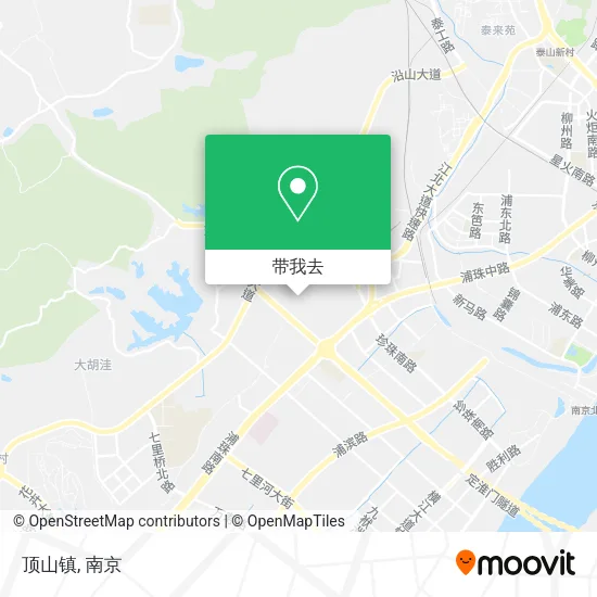 顶山镇地图