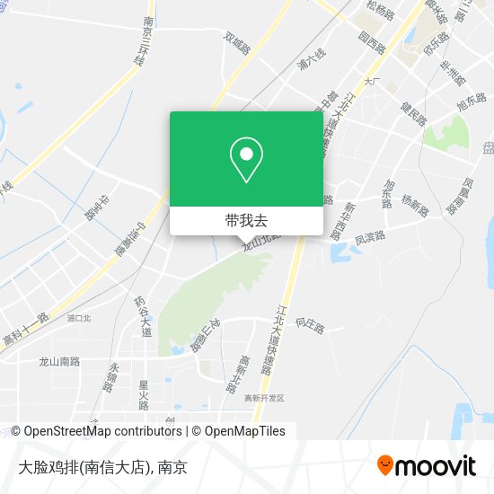 大脸鸡排(南信大店)地图