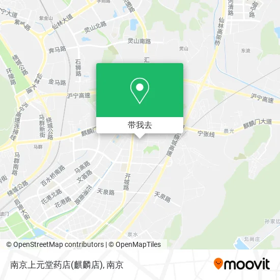 南京上元堂药店(麒麟店)地图